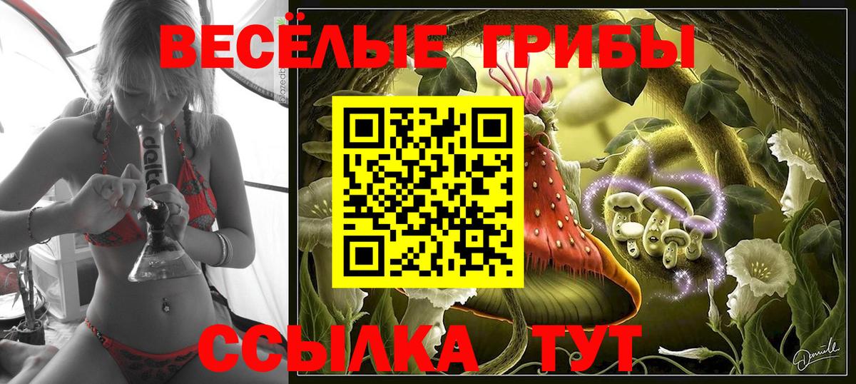 Галлюциногенные грибы Psilocybine cubensis Кирово-Чепецк