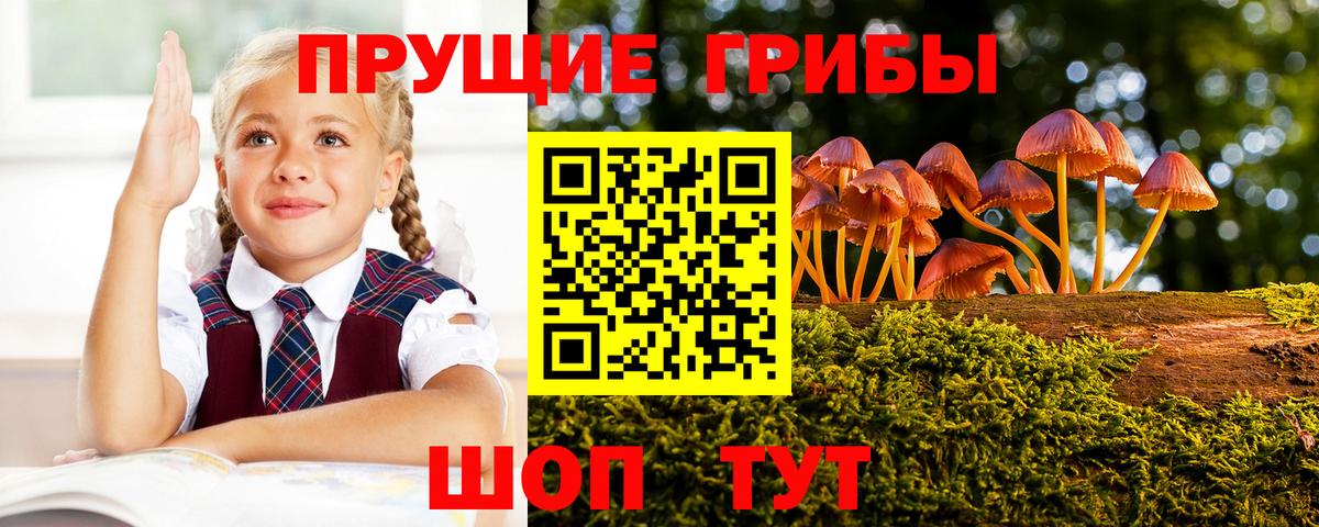 Кирово-Чепецк  Галлюциногенные грибы мицелий  Вход с VPN 